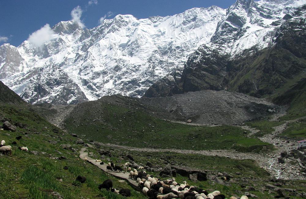  Kedarnath Yatra Package